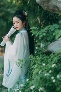买茶送卦，我的卦价值万两黄金小说陆山河杨元完结版