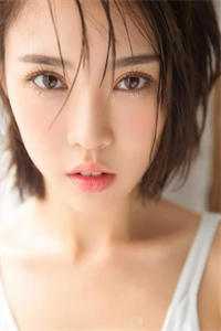 沈清婉陆宵逸写的小说长梦惊离