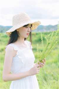 潮退鲸落，汐沉情绝全文小说陆言商林夕最新章节