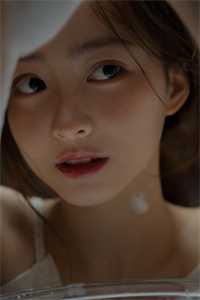 陆绾音江辰爱如蜉蝣小说