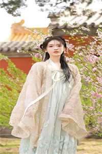 重生80：拒婚青梅去新疆青梅彭卫华结局+番外小说