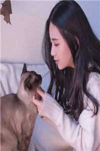 我死后，我妈彻底疯了苏沫锦夏全文