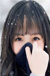 莫名成了法人以后结局+番外小说