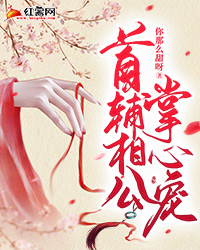 相遇的开始，离别的倒计时小说沈婉顾屿寒