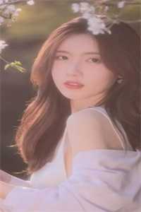 温妍陆彻温妍全局