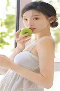 村官桃花途小说柳如烟陈平安完结版